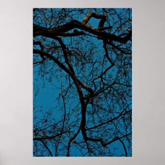 Poster Motifs dans le ciel