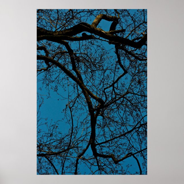 Poster Motifs dans le ciel (Devant)