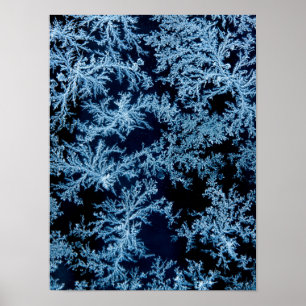 Poster Motifs de givre en gros plan, Californie