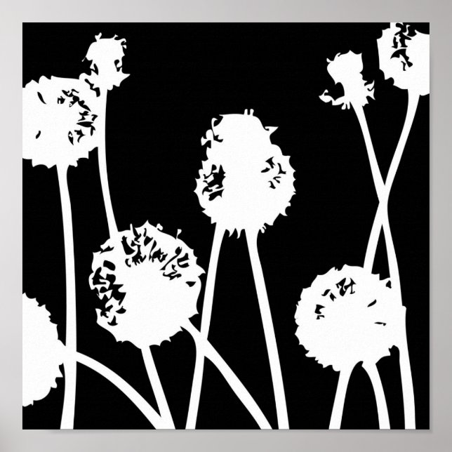 Poster Motifs de la nature 26 (Devant)