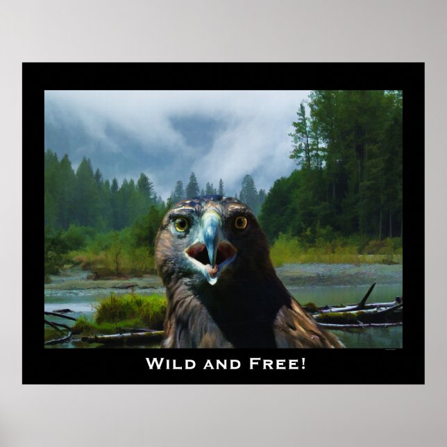 Poster Motivation de l'aigle à tête blanche et de la rivi (Devant)