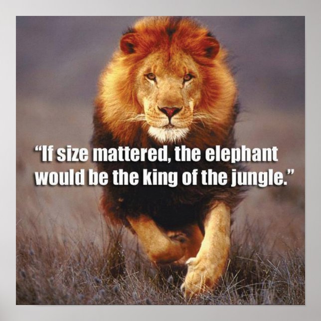 Poster Motivation de l'entraînement (Devant)