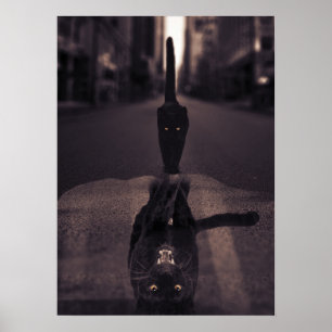 Poster Motivation de l'état d'esprit du chat noir et de l