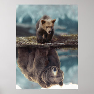 Poster Motivation de l'ours grizzli - Succès