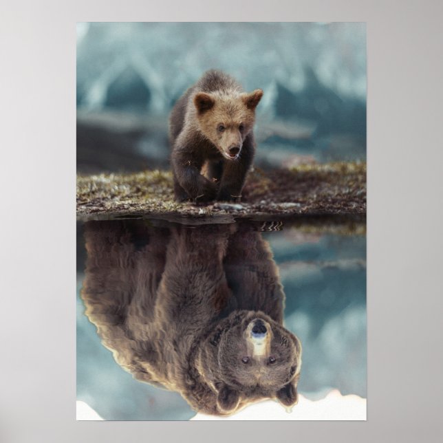 Poster Motivation de l'ours grizzli - Succès (Devant)
