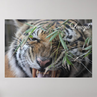 Poster Motivation, Motivation, Rire