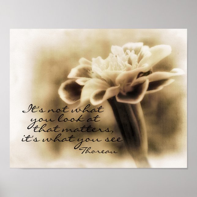 Poster motivation Thoreau cite l'affiche d'art naturel (Devant)