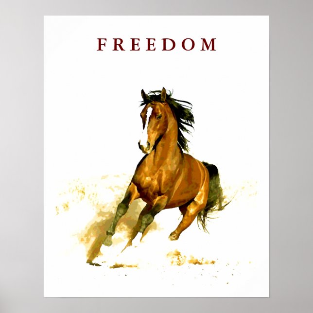 Poster Motivational Freedom Runse Horse (Devant)