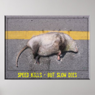 Poster Motivational Roadkill