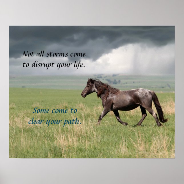 Poster Motivational Wild Mustang Horse (Devant)