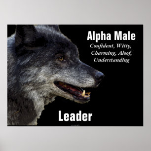 Poster Motivationnel Alpha Homme Grey Wolf