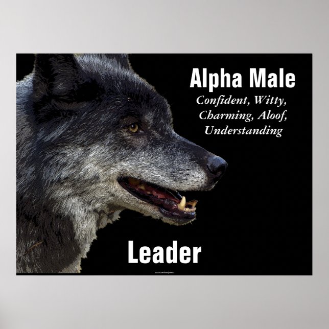 Poster Motivationnel Alpha Homme Grey Wolf (Devant)