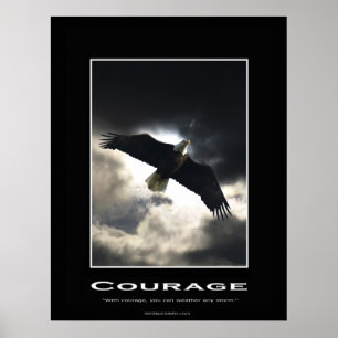 Poster Motivationnel de l'aigle chauve