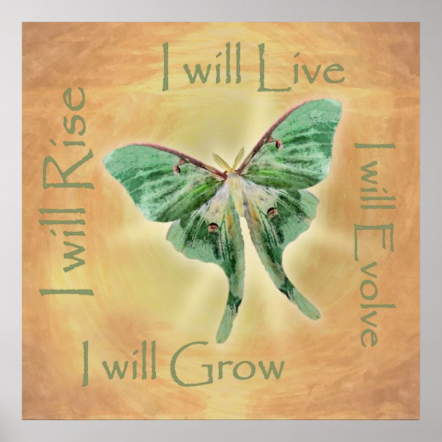 Poster Motivationnel Luna Moth Imprimer (Devant)