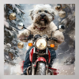 Poster Moto à chiens Havanais Noël