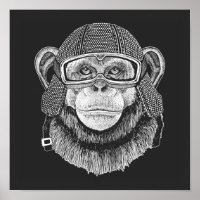 Motocycliste Chimpanzé