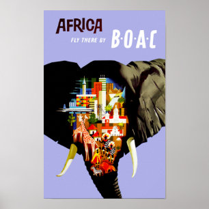 Poster Mouche de ~ de l'Afrique là