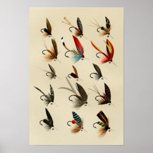 Poster Mouches de truite 84 à 98 Vintage