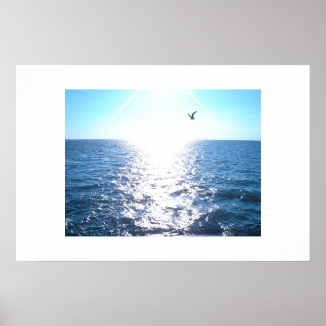 Poster Mouette (Devant)