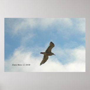 Poster Mouette