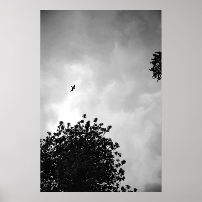 Poster Mouette (Devant)