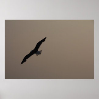 Poster Mouette