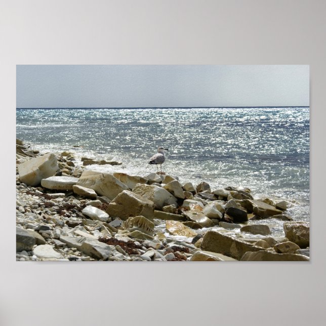 Poster Mouette et mer (Devant)