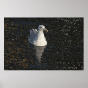 Poster Mouette flottante