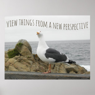 Poster Mouette oiseau citation nouvelle perspective motiv