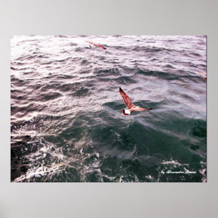 POSTER MOUETTE VOLANT AU-DESSUS DES VAGUES