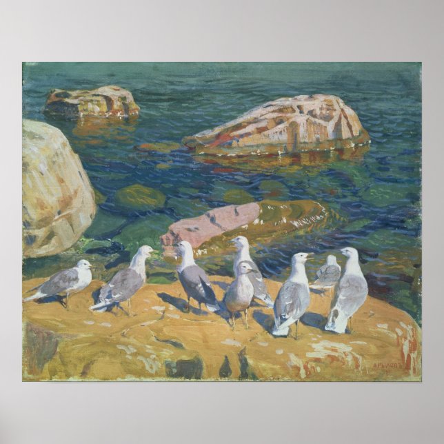 Poster Mouettes, 1910 (Devant)