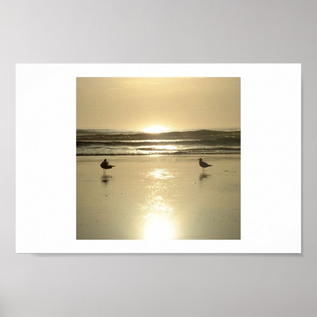 Poster Mouettes à Daytona (Devant)