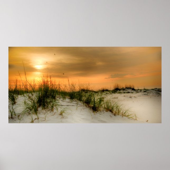 Poster Mouettes au lever du soleil (Devant)