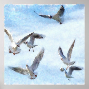 Poster Mouettes en aquarelle de vol