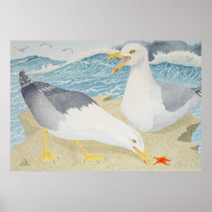 Poster Mouettes se reposant sur une falaise