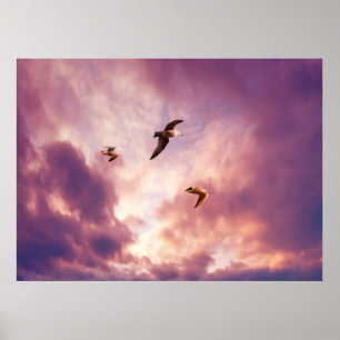 Poster Mouettes volant dans un ciel de coucher de soleil