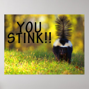 Poster Mouffette que vous empestez