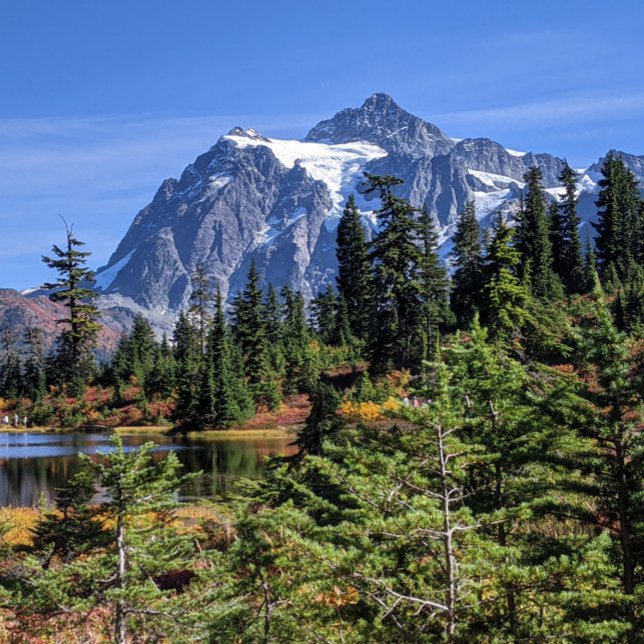 Poster Mount Baker, Washington Fall Color (Créateur téléchargé)