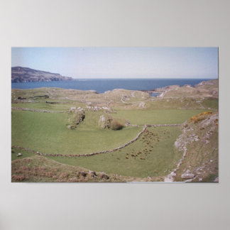 Poster Mountain Field, West Donegal