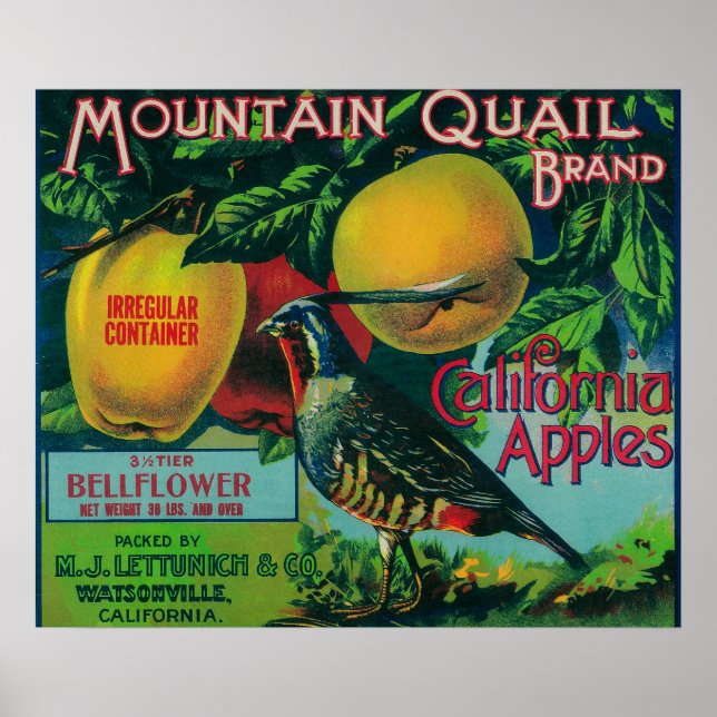 Poster Mountain Quail Apple Crate Étiquette (Devant)