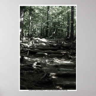 Poster Mountain Trail