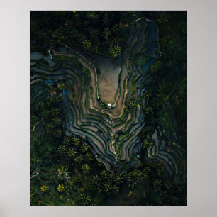 Poster Mousse verte sur roche noire