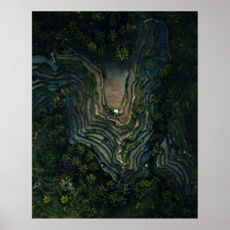 Poster Mousse verte sur roche noire