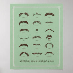 Poster Moustaches célèbres