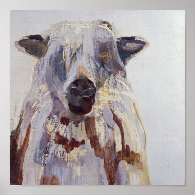 Poster Mouton (Devant)