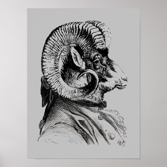 Poster Mouton Bighorn En Costume (Devant)