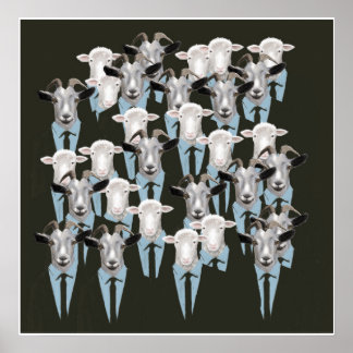 Poster Moutons et chèvres