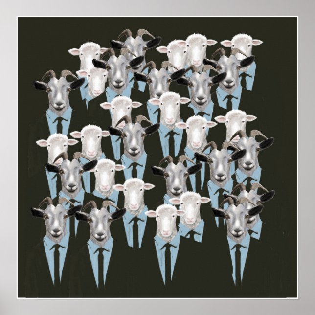 Poster Moutons et chèvres (Devant)