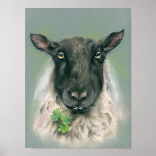 Poster Moutons Whimsical avec Shamrocks (Devant)
