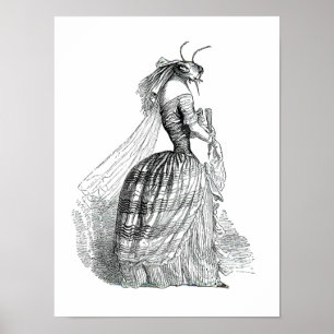 Poster Mouvement d'insecte